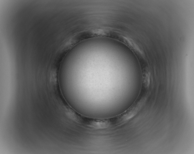 X0000111160466200907071132