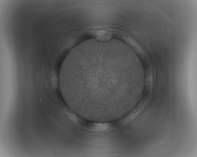 X0000111160469200907071132