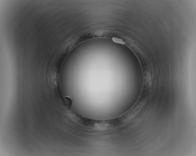 X0000111160470200907071132