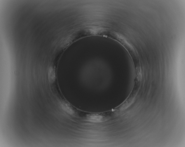 X0000111160471200907071132