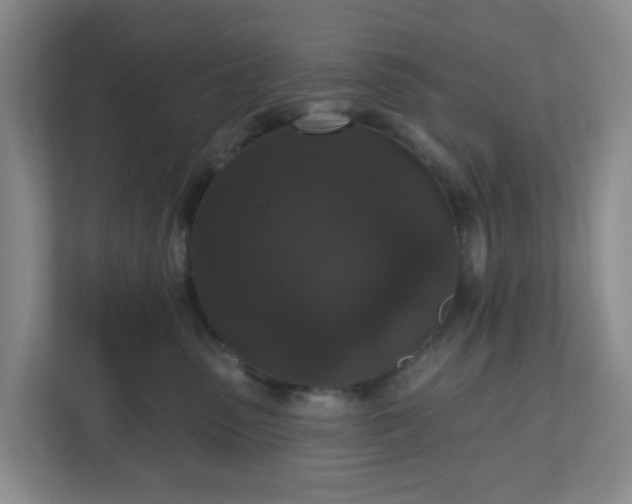X0000111160475200907071132