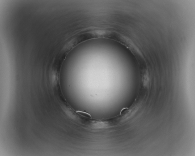 X0000111160476200907071132