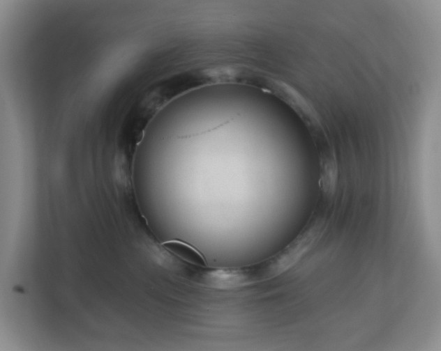 X0000111160477200907071132