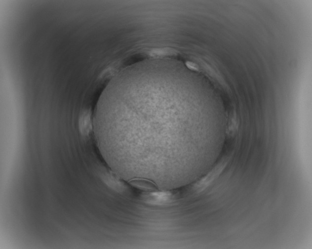 X0000111160478200907071132