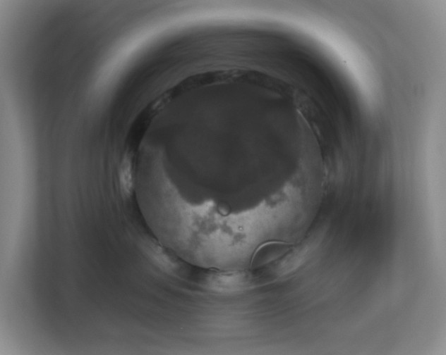 X0000111160479200907071132