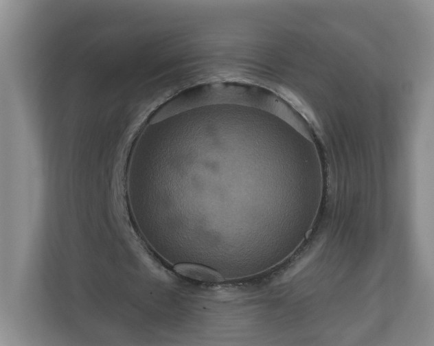 X0000111160481200907071132