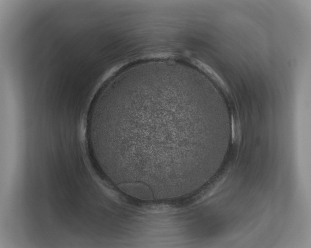 X0000111160483200907071132