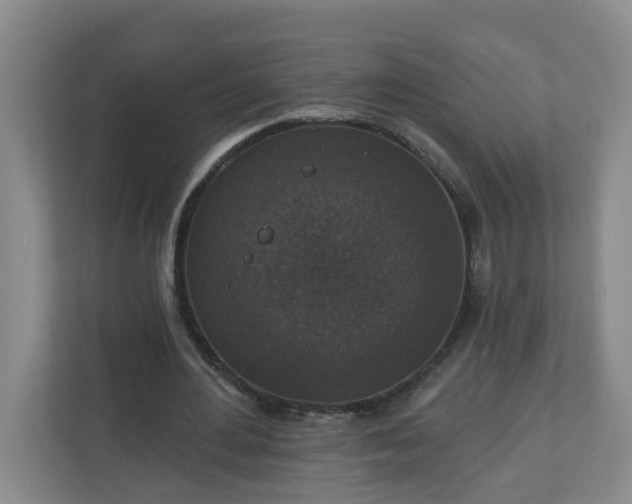 X0000111160484200907071132