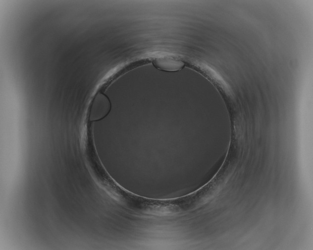 X0000111160488200907071132