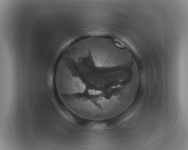 X0000111160491200907071132