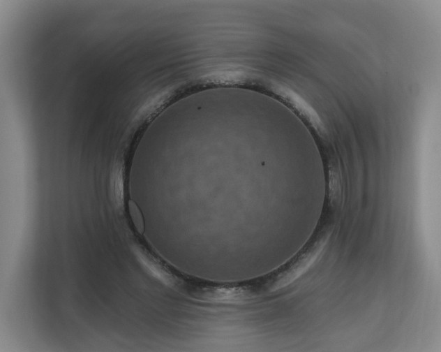 X0000111160493200907071132