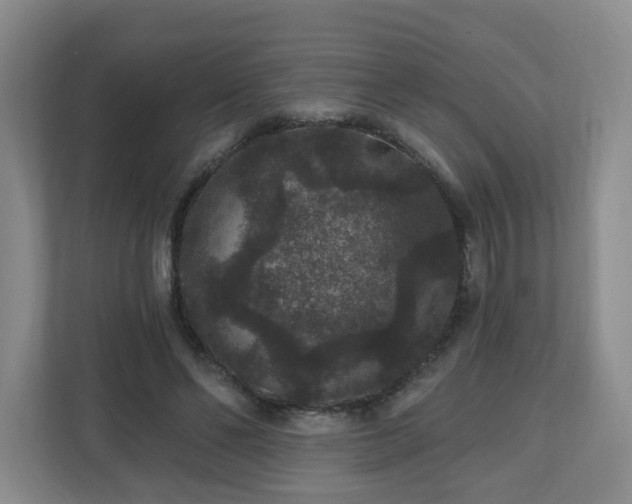 X0000111160494200907071132
