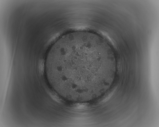 X0000111160495200907071132