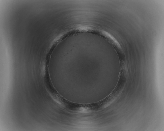 X0000111160496200907071132