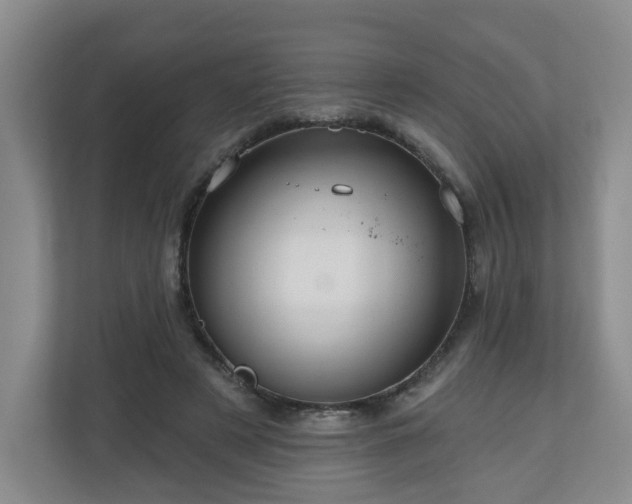 X0000111160497200907071132