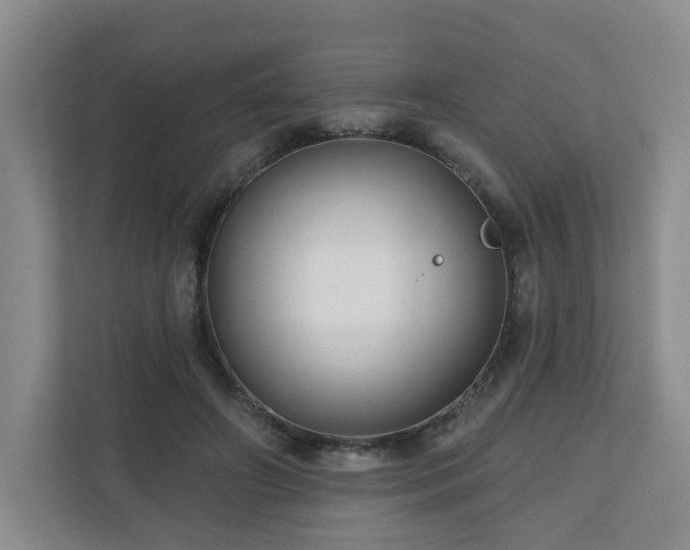 X0000111160498200907071132