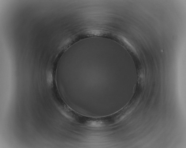 X0000111160500200907071132
