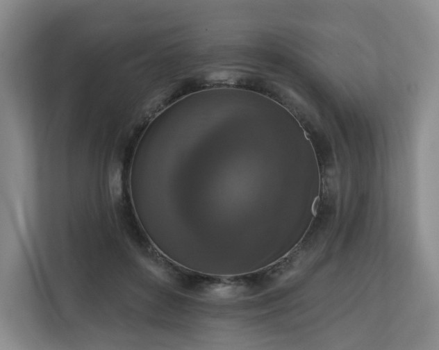 X0000111160504200907071132
