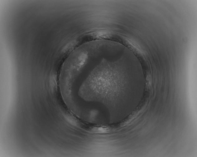 X0000111160506200907071131
