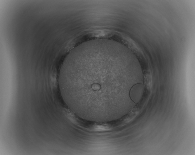 X0000111160510200907071131
