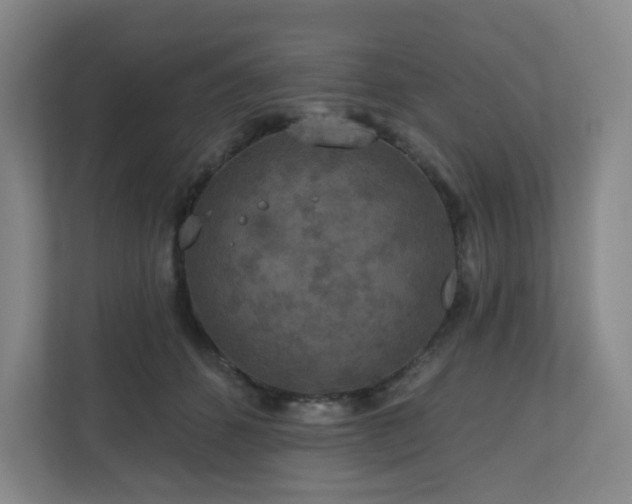 X0000111160512200907071131