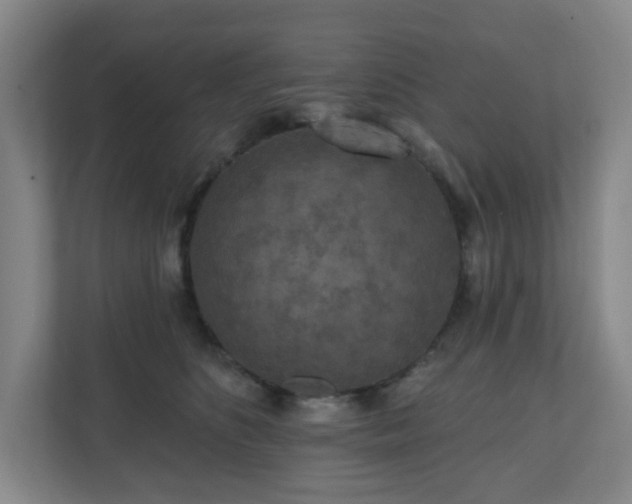 X0000111160516200907071131