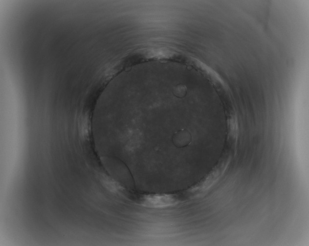 X0000111160517200907071131
