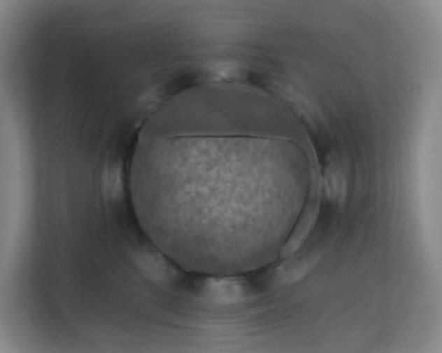 X0000111160520200907071131