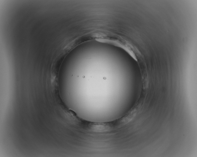 X0000111160521200907071131