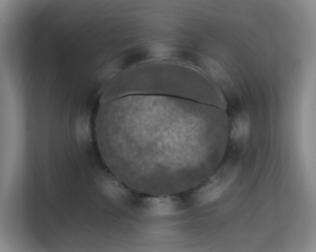X0000111160524200907071131