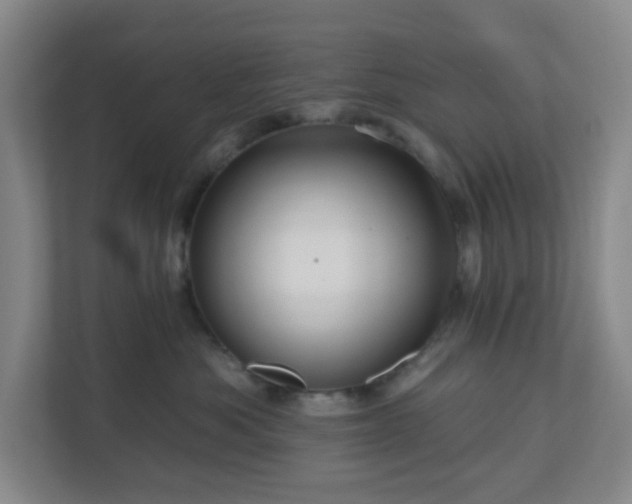 X0000111160525200907071131