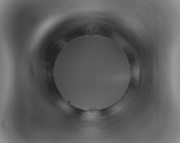 X0000111160526200907071131