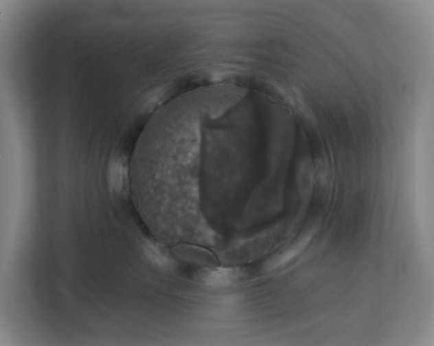 X0000111160527200907071131
