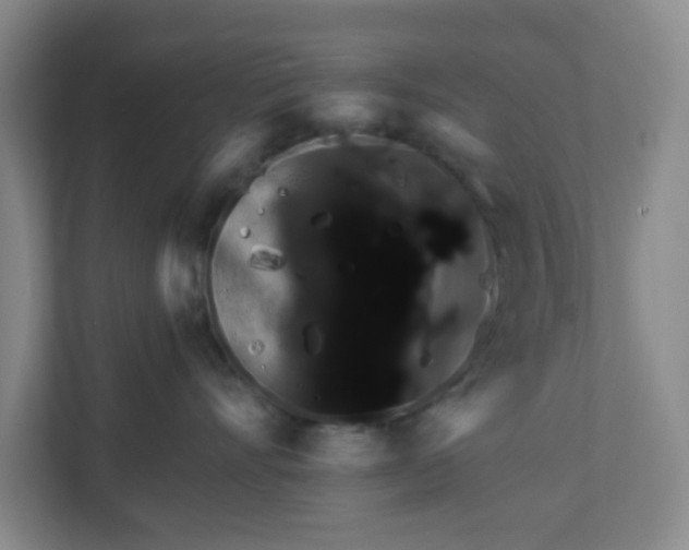 X0000111160528200907071131