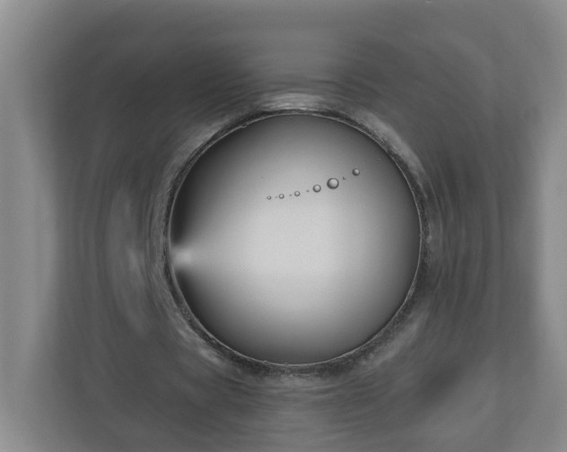 X0000111160529200907071131