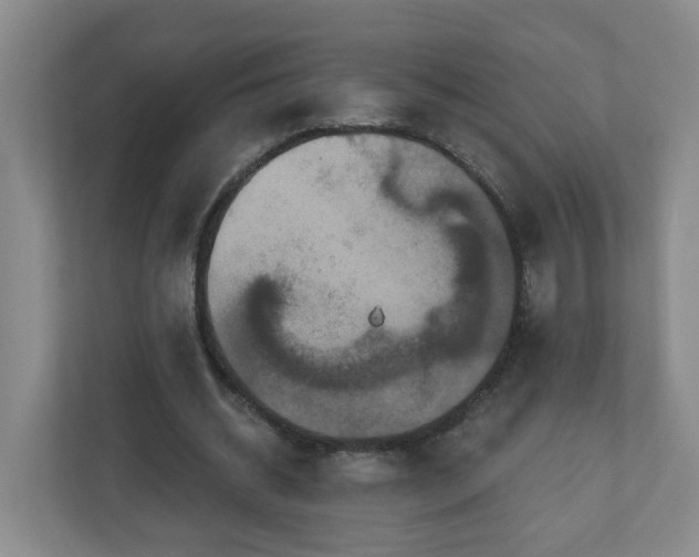 X0000111160534200907071131