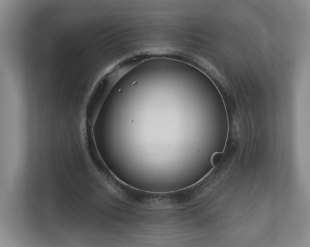 X0000111160535200907071131