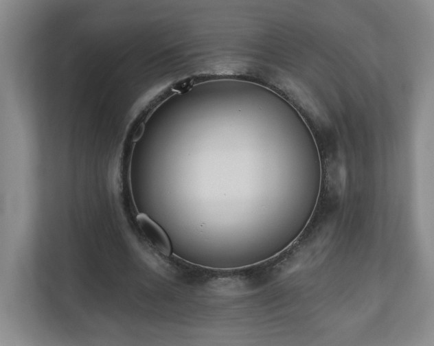 X0000111160536200907071131