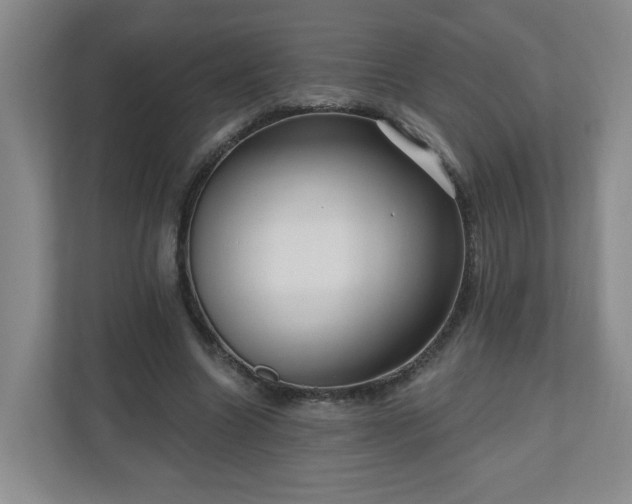 X0000111160538200907071131