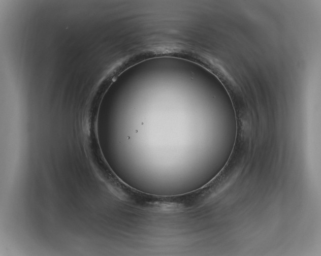 X0000111160539200907071131