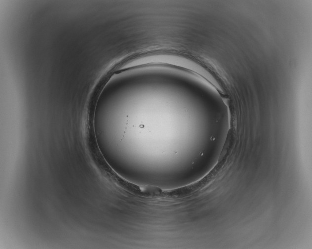 X0000111160540200907071131