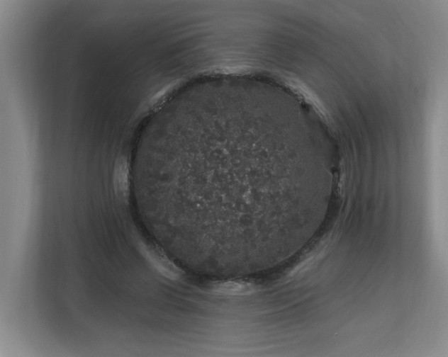 X0000111160542200907071131