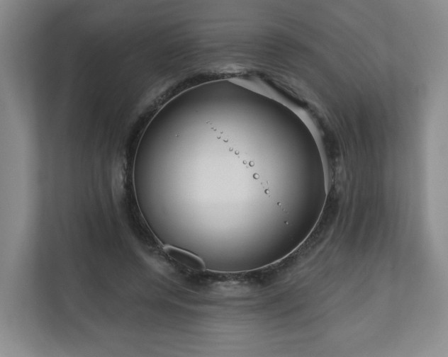 X0000111160544200907071131