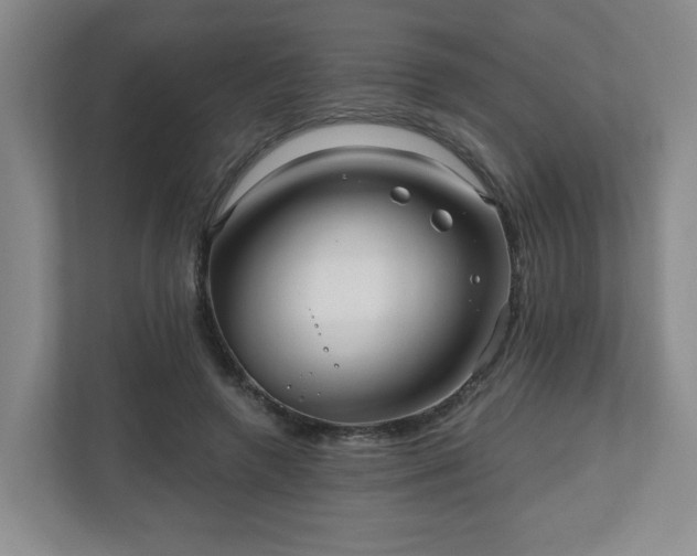 X0000111160546200907071131