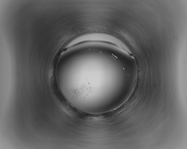 X0000111160548200907071131