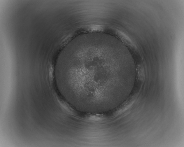 X0000111160550200907071131