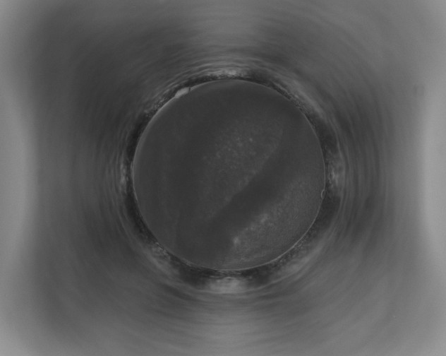 X0000111160551200907071131