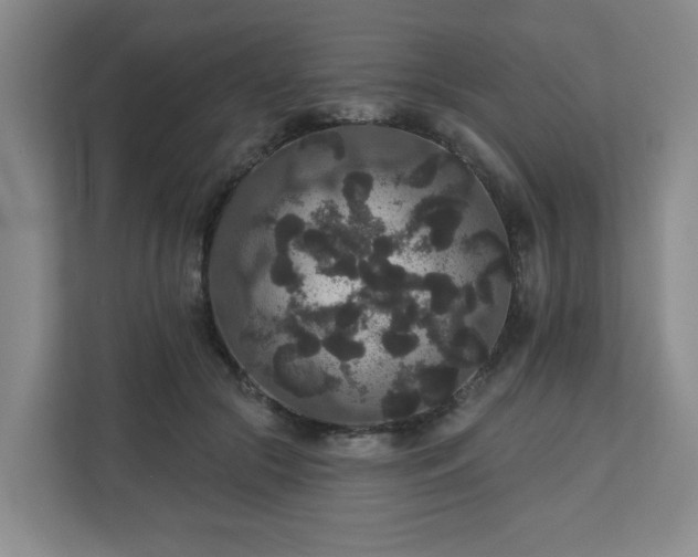X0000111160553200907071131