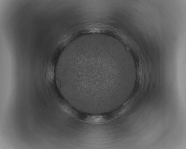 X0000111160554200907071131