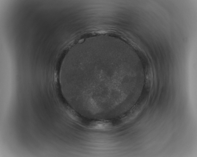 X0000111160555200907071131
